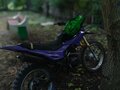 2024 Irbis GR 250, фиолетовый, 85000 рублей - вид 4