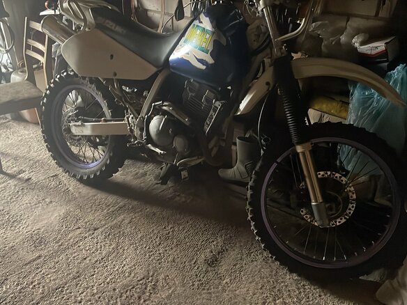 2001 Suzuki Djebel 250, белый, 270000 рублей - вид 3