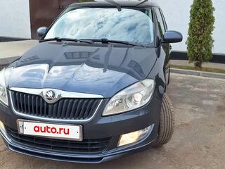 2010 Skoda Fabia II Рестайлинг, серый, 650000 рублей, вид 2