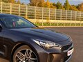 2021 Kia Stinger I Рестайлинг, серый, 3419000 рублей - вид 5