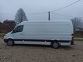 2008 Mercedes-Benz Sprinter, белый, 1600000 рублей - вид 4