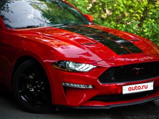 2019 Ford Mustang VI Рестайлинг, красный, 3500000 рублей, вид 4