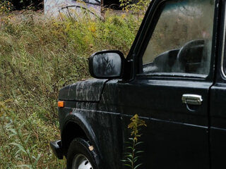 2013 Lada (ВАЗ) 2121 (4x4) I Рестайлинг, зелёный, 260000 рублей, вид 2