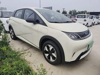 2026 BYD Dolphin 44.9 kWh I, золотистый, 1650213 рублей, вид 1