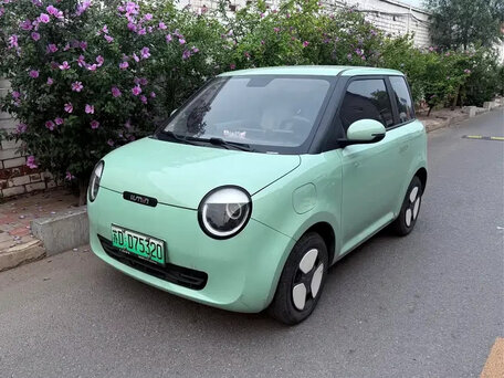 Changan Lumin