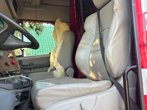 2003 Freightliner Columbia, красный, 2000000 рублей - вид 3