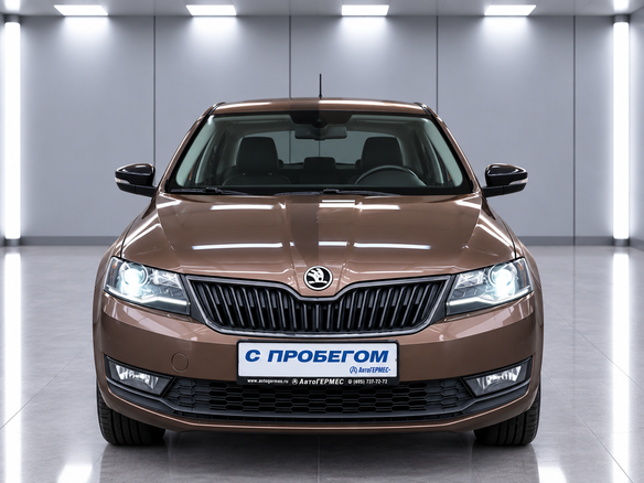 2017 Skoda Rapid I Рестайлинг, коричневый, 1390000 рублей - вид 1