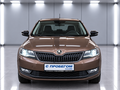2017 Skoda Rapid I Рестайлинг, коричневый, 1390000 рублей - вид 1