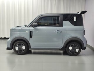 2024 Geely Panda Knight I, серый, 790000 рублей, вид 4