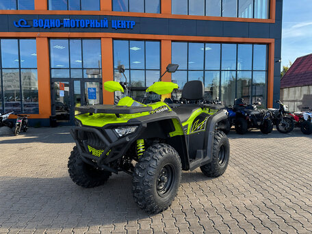 2026 Bashan Explorer 300, серый, 308900 рублей, вид 1