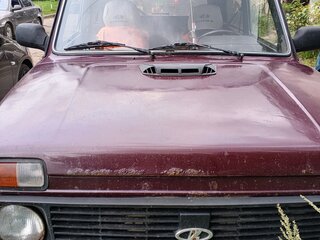 2011 Lada (ВАЗ) 2121 (4x4) Рысь I Рестайлинг, пурпурный, 290000 рублей, вид 2