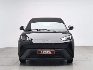 2024 BYD Seagull 30.08 kWh I, чёрный, 1100000 рублей, вид 3