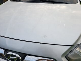 2013 Hyundai Solaris I, серый, 715000 рублей, вид 4