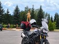 2014 Triumph Tiger 800, чёрный, 560000 рублей - вид 8