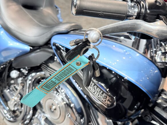 2011 Harley-Davidson Electra Glide, голубой, 1299000 рублей - вид 22