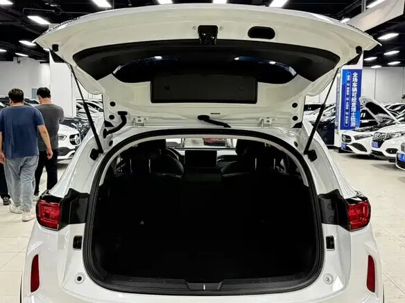 2022 Haval Chitu, белый, 1082000 рублей - вид 10