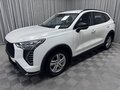 2024 Haval Jolion I Рестайлинг, белый, 2085000 рублей - вид 6
