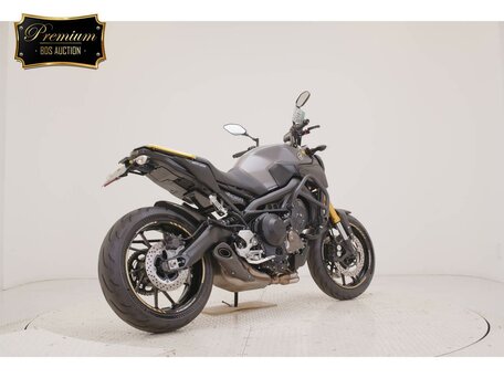 2015 Yamaha MT-09 (FZ-09), серый, 747000 рублей, вид 5