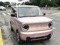 2023 Geely Panda Mini I, розовый, 720000 рублей
