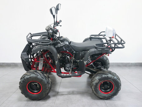 2026 Motax Grizlik, чёрный, 85900 рублей, вид 2