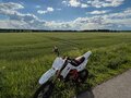 2024 Kayo Basic K125, белый, 35000 рублей