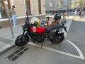 2018 Yamaha XSR900, красный, 725000 рублей - вид 2