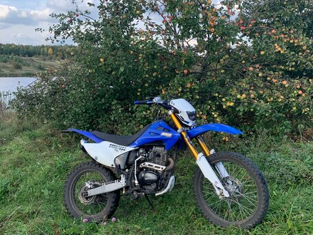 2021 Regulmoto Sport 003, синий, 120000 рублей, вид 3