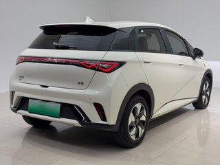 2024 BYD Dolphin 44.9 kWh I, бежевый, 1655000 рублей, вид 4