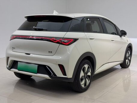 2024 BYD Dolphin 44.9 kWh I, бежевый, 1655000 рублей, вид 4
