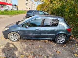 2007 Peugeot 307 I Рестайлинг, серый, 299000 рублей, вид 3