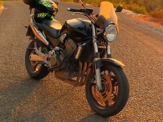 2003 Honda CB 900F Hornet, чёрный, 380000 рублей, вид 1