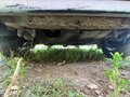 2006 Lada (ВАЗ) 2115, серый, 64500 рублей - вид 10