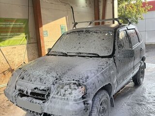 2004 Chevrolet Niva I, зелёный, 350000 рублей, вид 2