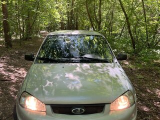 2009 Lada (ВАЗ) Kalina I, серебристый, 170000 рублей, вид 1