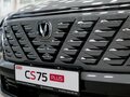 2025 Changan CS75 Plus IV, серый, 4249900 рублей - вид 6