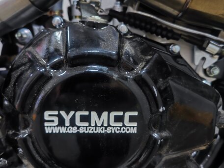 2026 Sycmmc 300, красный, 125000 рублей, вид 4