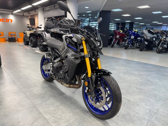 2022 Yamaha MT-09 (FZ-09), серый, 1190000 рублей - вид 4