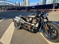 2024 Harley-Davidson Sportster S, коричневый - вид 6