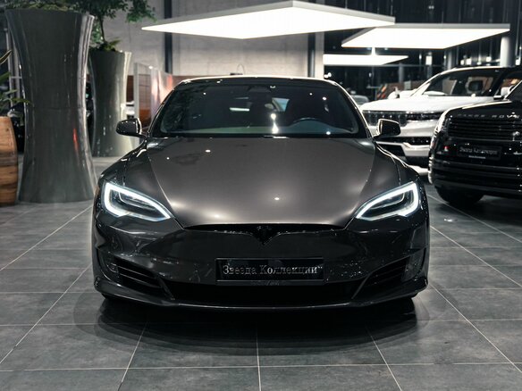 2019 Tesla Model S Performance I Рестайлинг, серый - вид 9