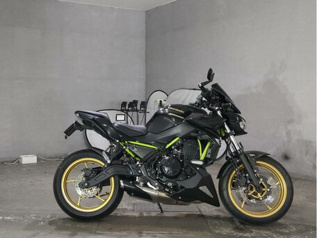2020 Kawasaki Z 650, чёрный, 770000 рублей, вид 1