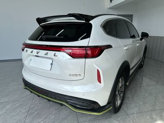 2022 Haval Chitu, белый, 1435000 рублей, вид 4