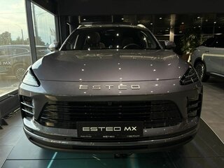 2026 Esteo MX, серый, 3990000 рублей, вид 2