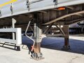 2024 Sotrans Wallaroo Steel, серебристый, 2880000 рублей - вид 10