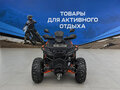 2026 Другие Мотовездеходы (другие), чёрный, 234400 рублей - вид 2