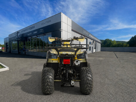 2026 Motoland ATV 250 Adventure, бежевый, 173200 рублей, вид 5