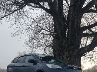 2014 Ford Kuga II, серый, 900000 рублей, вид 2