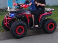 2025 Alfer VR 250, красный, 165000 рублей - вид 3