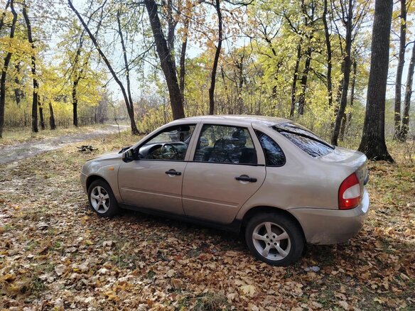 2005 Lada (ВАЗ) Kalina I, серый, 110000 рублей - вид 6