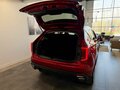 2026 Haval Jolion I Рестайлинг 2, красный - вид 11