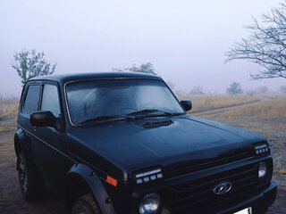 2012 Lada (ВАЗ) 2121 (4x4) I Рестайлинг, зелёный, 330000 рублей, вид 1